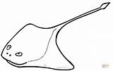 Stingray Coloring Pages Green Printable Ray Color Supercoloring sketch template