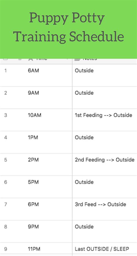 printable puppy potty training schedule