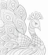 Pages Coloring Peacock Paisley Getcolorings sketch template