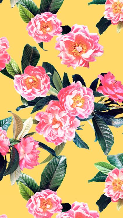 pin by julie hathaway on random floral wallpaper desktop