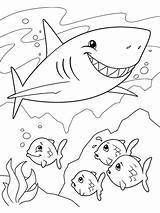 Shark Coloring Crayola Print Pages Sketch sketch template