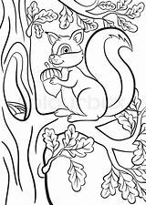 Squirrel Tree Drawing Coloring Cute Getdrawings sketch template