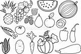 Groenten Frutas Reeks Kleuren Verschillende Gemüse Sorten Obst Tomatenpflanze Lebenszyklus Alimentos Fruta sketch template