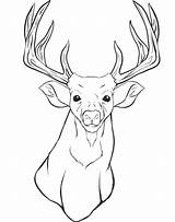 Coloring Deer Head Pages Printable Buck Mule Silhouette Drawing Whitetail Animal Outline Antler Skull Print Color Clip Mount Reindeer Face sketch template