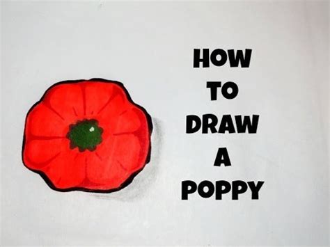 draw  simple poppy youtube