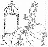 Ariel Desenhosparapintar Cinderella Rapunzel Tiana Princesses Kleurplaten Aurora Desenhoseriscos Riscos Colorpages Lú Assunção Acessar Artikel Escolaensina Escolha Pasta Sobres sketch template