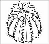 Coloring Cactus Pages Drawing Color Flowers Barrel Printable Number Easy Simple Desert Flower Printables Para Kids Coloritbynumbers Dibujos Adult Google sketch template