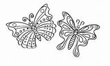 Butterfly Coloring Winged Beauty sketch template