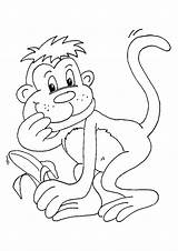 Monkeys Macacos Affen Monyet Halaman Kidipage Kertas Mewarna Scribblefun Haiwan sketch template