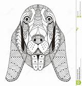Hound Basset Coloring Zentangle Stock Vector Illustration Stylized Head Dog Zen Freehand Ornate Drawn Pencil Lace Pattern Hand Choose Board sketch template