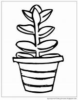 Coloring Plant Pages Spring Potted Hello Fun Bible Amanda Pm Posted Cup sketch template