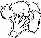 Broccoli Coloring Pages Vegetable Healthy Food Drawing Clipart Kids Vegetables Clip Kidsdrawing Outline Getdrawings Fall Online Fruit Clipground Fruits Sheets sketch template