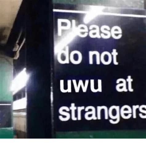 but i just wanna uwu uwu