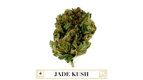 Jade Kush Goods Merry Jane