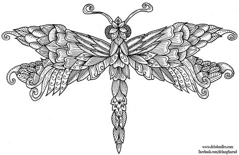 ideas  dragonfly coloring pages  adults home