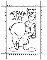 Coloring Alpaca Pages Comments Coloringhome sketch template