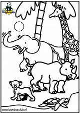 Dieren Neushoorn Olifant Ausmalbilder Giraf Tiere Wnf Malvorlagen Coloringpages1001 Titanic Animaatjes sketch template