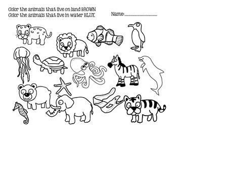 water  land animals coloring pages book  kids