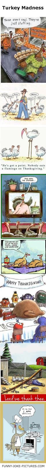 Thanksgiving Turkey Cartoons ~ Funny Joke Pictures