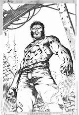Marcio Abreu Wolverine sketch template
