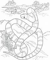 Coloring Snake Pages Rattlesnake Coral Mamba Getdrawings Diamondback Getcolorings Print Colorings sketch template