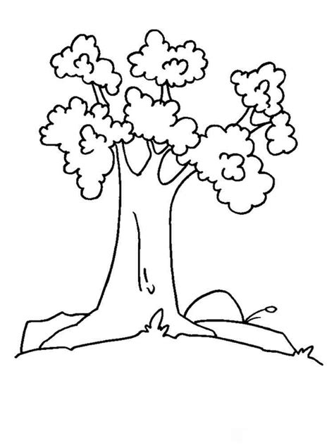 trees coloring pages   print trees coloring pages