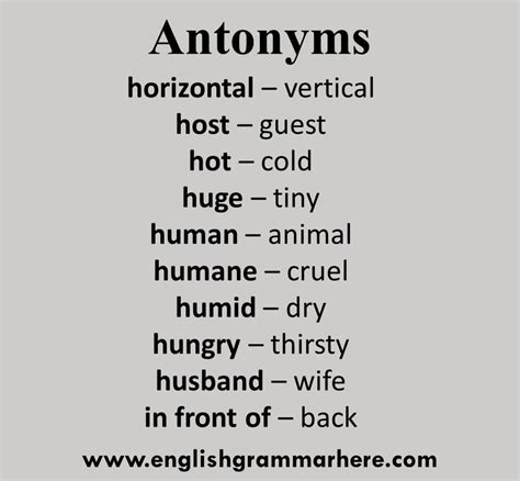 antonyms examples  english antonym  words list english