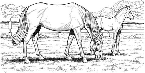 relistic horse coloring pages mylittlepony book  kids