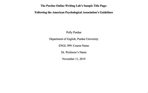 sample   edition professional paper exampel papers
