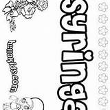 Syringa Coloring Pages Sydney Hellokids Sable sketch template