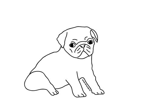 baby animal coloring pages  pug