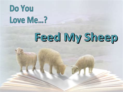 john    love  feed  sheep white