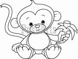 Monkey Coloring Hanging Pages Baby Monkeys Banana Color Cartoon Clipart Eating Shower Getcolorings sketch template