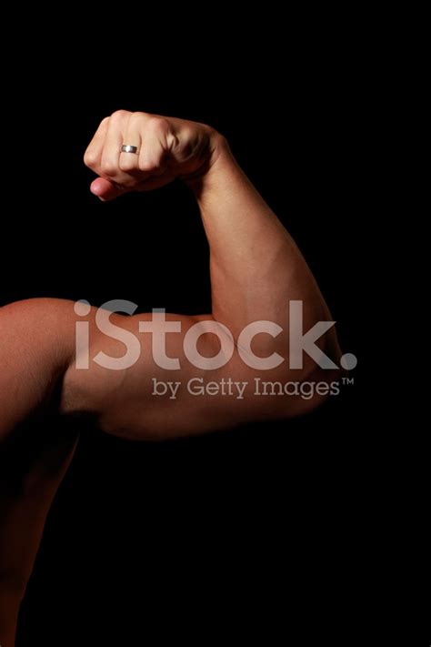 strong male arm stock photo royalty  freeimages