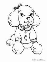Poodle Puppy sketch template