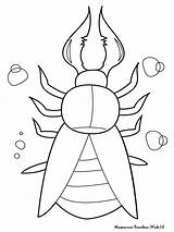Mewarnai Insects Serangga Insect Diwarnai Titan Warnai Kertas Selembar Diatas Cetak Situs Berukuran sketch template