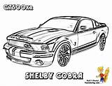 Mustang Shelby Yescoloring Gt500 Fierce sketch template