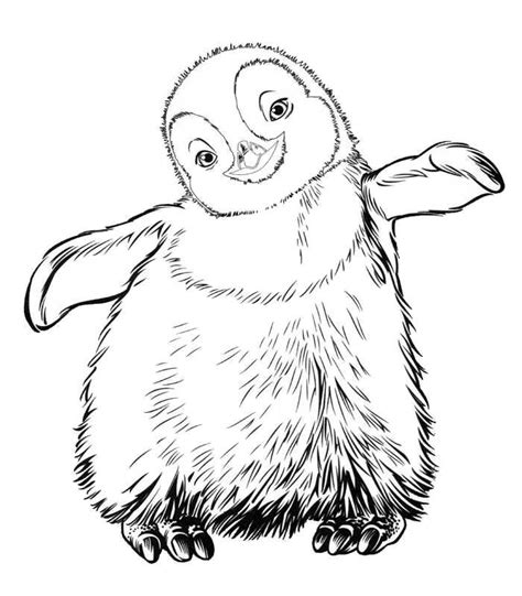antarctic animals coloring pages coloring home