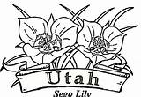 Utah Coloring Flowers Pages Color Printable Supercoloring Version Online sketch template