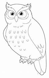 Owl Snowy Coloring Pages Color Getcolorings Snow sketch template