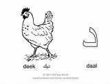 Daal Arabic Tracing Alphabet sketch template
