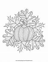Halloween Coloring Fall Pages Leaves Pumpkin Adult Printable Mandala Leaf Colouring Sheets Thanksgiving Book Kids Adults Primarygames Visit sketch template