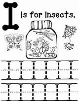 Preschool Insect Coloring Mommy Tracing Packets Oopsey Homeschooling Curriculum Oopseydaisyblog sketch template