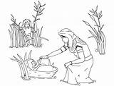 Moses Coloring Pages Baby Kids Printable Bible Basket Print sketch template