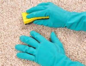clean  vomit  carpet carpet cleaners talk local blog