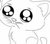 Coloring Pages Cuddly Filminspector Downloadable Kitten Kittens Pets Great Kids Make sketch template