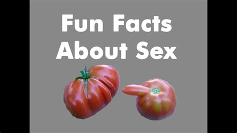 Fun Facts About Sex Song A Day 1321 Youtube