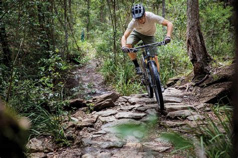 mountain bike trails  queenslands bunya mountains australian