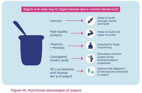 yogurt can improve sex drive promote fertility and help loose weigh