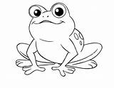 Frog Coloring Pages Choose Board Color sketch template